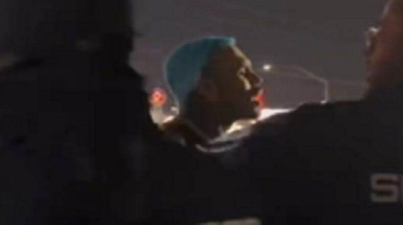 Chris Brown beat man up at Lovers and Friends festival