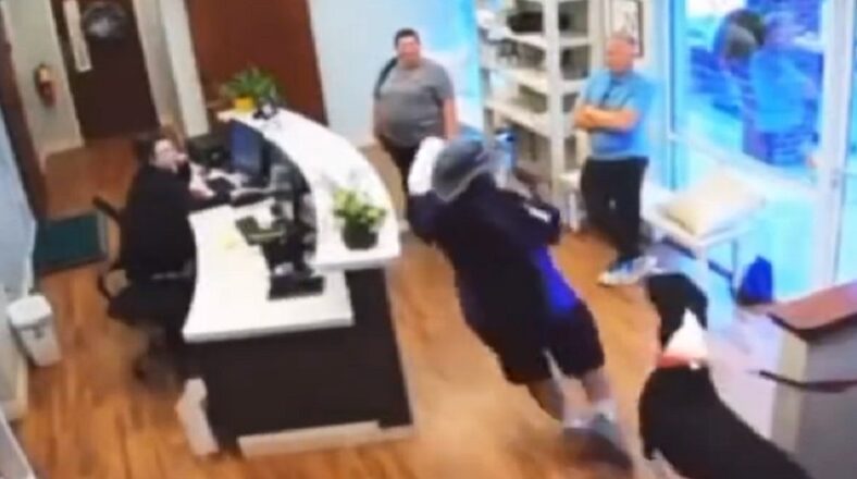 FedEx worker slips and falls at vet's office after a dog jumps at him