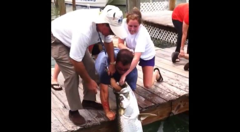 Giant fish almost bites a man's arm off who was trying to bait him