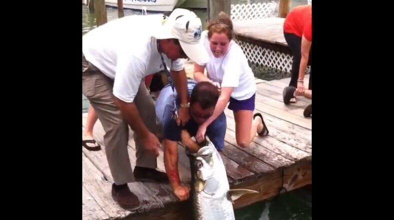 Giant fish almost bites a man's arm off who was trying to bait him