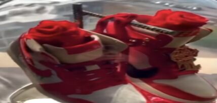 Teyana Taylor gifts Lil Wayne "Rose From Harlem" Jordan 1s