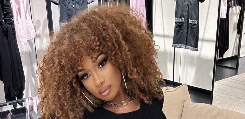 Megan Thee Stallion says new music will come after healing