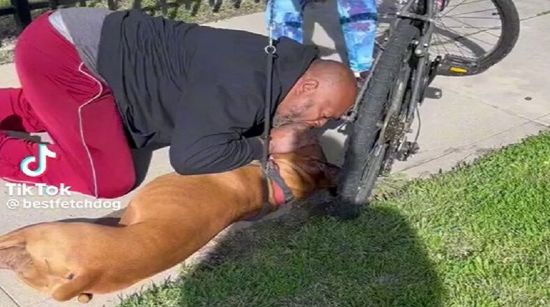 Man performs CPR on a dog and saves its life