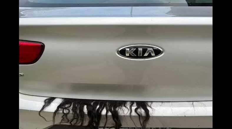 Cops dispatched for body in trunk but it's a woman's wig