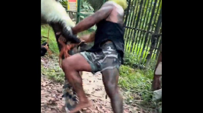 Crocodile wrestles a man to the ground after grabbing him