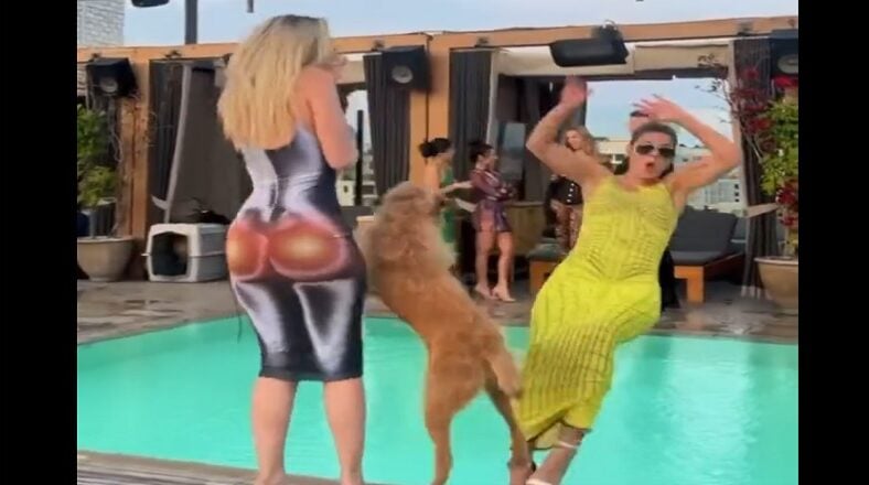Dog runs into a woman and pushes her into the pool