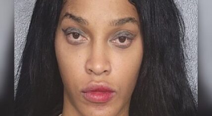 Joseline Hernandez gets made fun of over her mugshot
