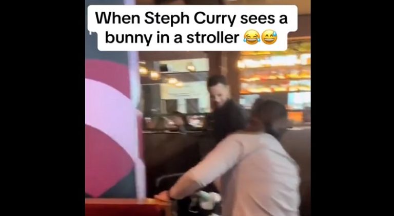 Steph Curry has hilarious reaction to seeing a bunny in a stroller