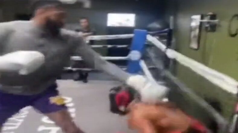 Anthony Davis gets roasted over his boxing skills