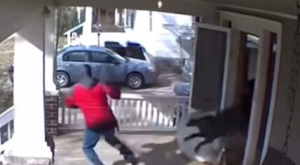 Dog bursts through closed door and chases DoorDash worker