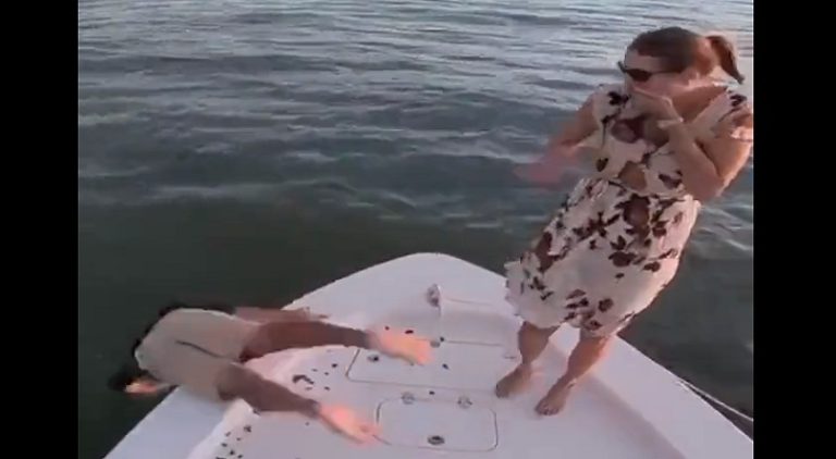 Man drops engagement ring in the water and then falls in himself