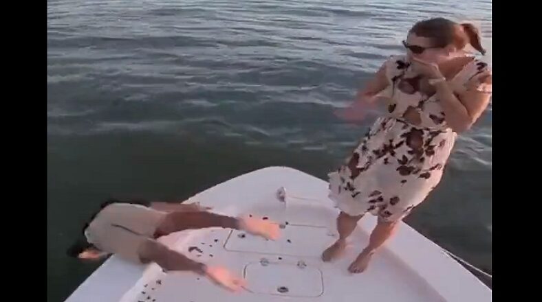 Man drops engagement ring in the water and then falls in himself