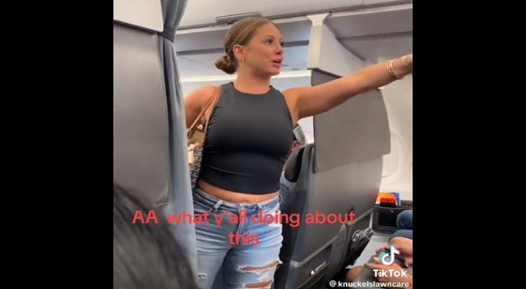 Woman gets off plane and says person beside her was not real