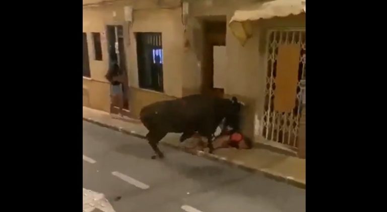 Bull attacks a man trying to compete in a footrace
