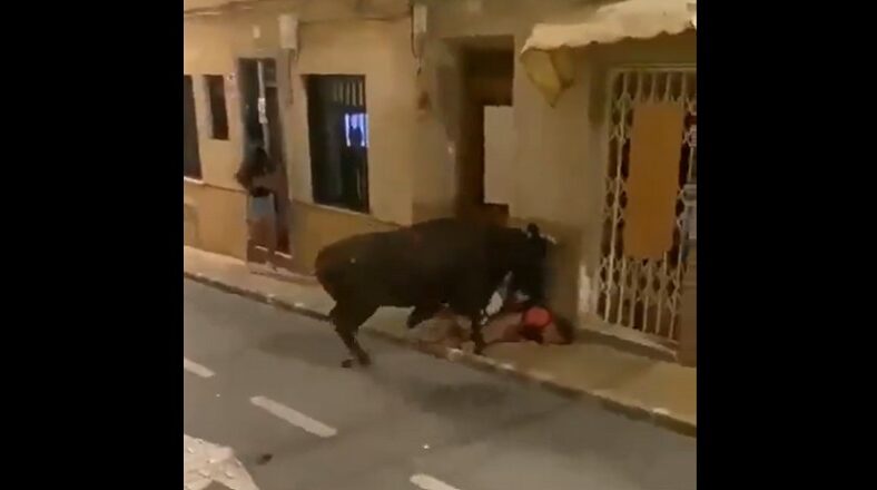 Bull attacks a man trying to compete in a footrace