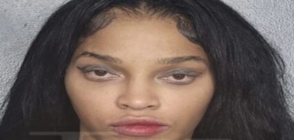 Joseline Hernandez hit with more two felonies for Big Lex brawl