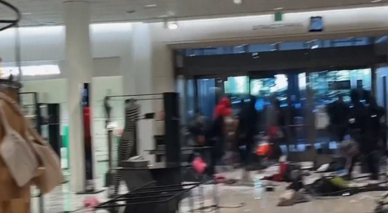 Over 30 people rob a Nordstrom in Los Angeles