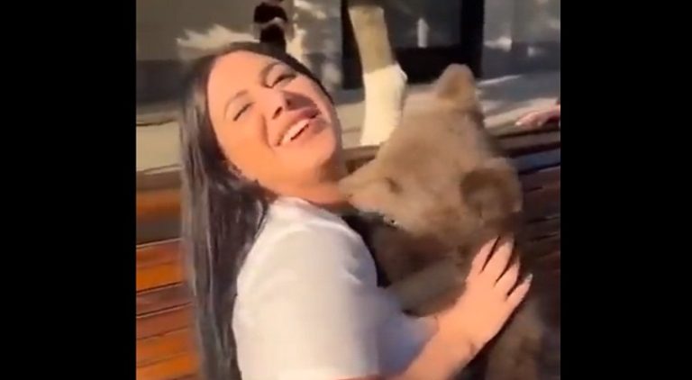 Woman cuddles a bear and then it viciously bites her chin