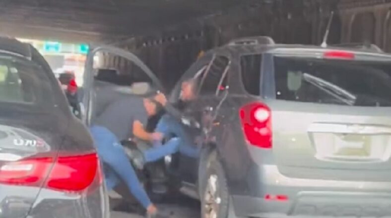 Women cause Atlanta traffic jam by fist fighting on I-85