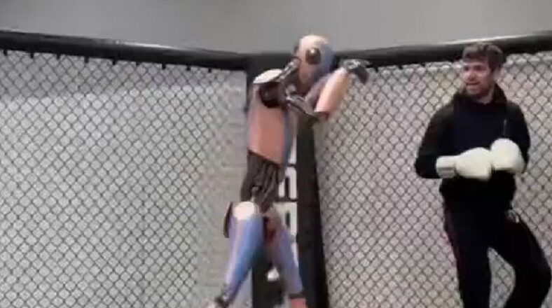 Boxer goes viral for sparring with artificial intelligence robot