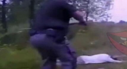 Canadian man arrested for swimming to Michigan to steal gun