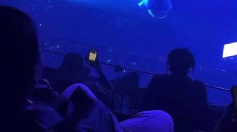 Derrick Rose spotted playing chess at Drake's concert