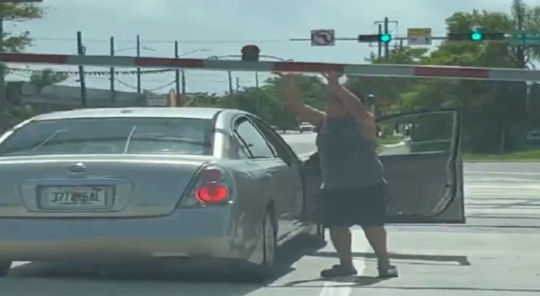 Kid stops his grandmother's car from getting hit by a train