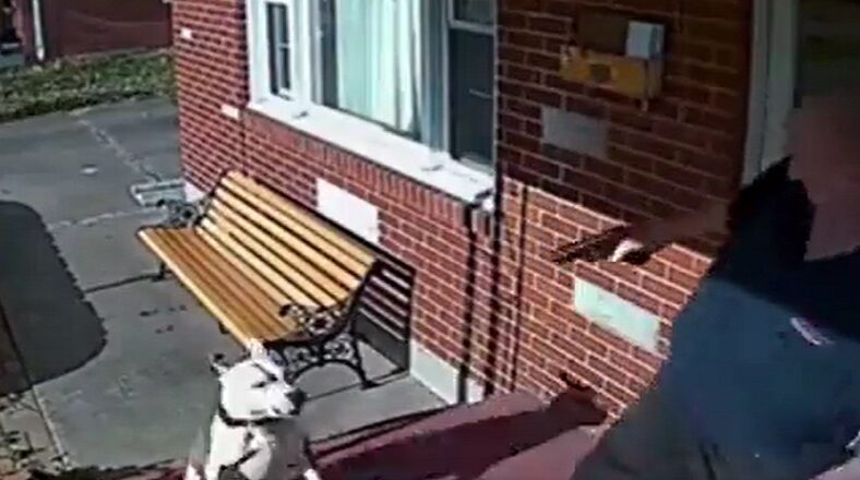 Man pulls gun on dog that was trying to bite him