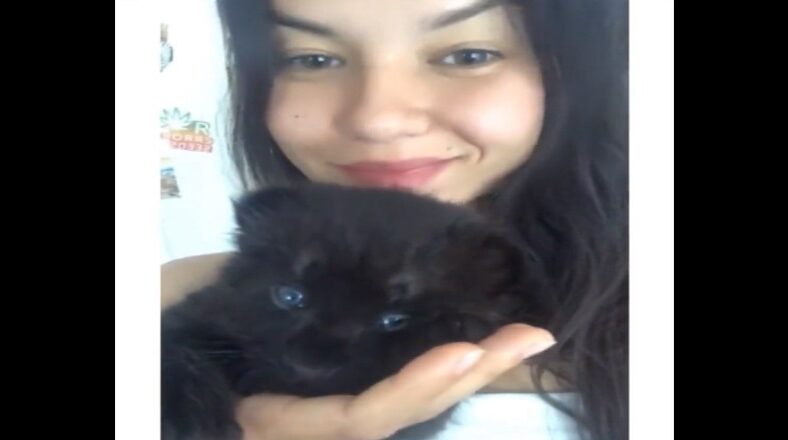 Woman rescued a baby panther she thought was a kitten