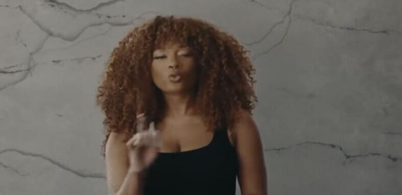 Megan Thee Stallion partners with Seize The Awkward