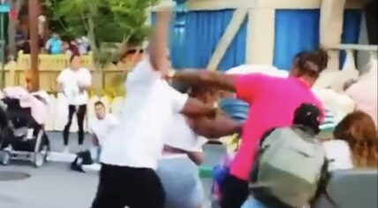 Disneyland brawl in Fantasyland involving adults near Storybook Land Canal Boats and Mad Tea Party rides.