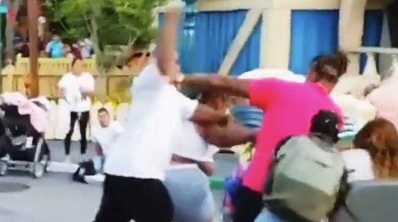 Disneyland brawl in Fantasyland involving adults near Storybook Land Canal Boats and Mad Tea Party rides.