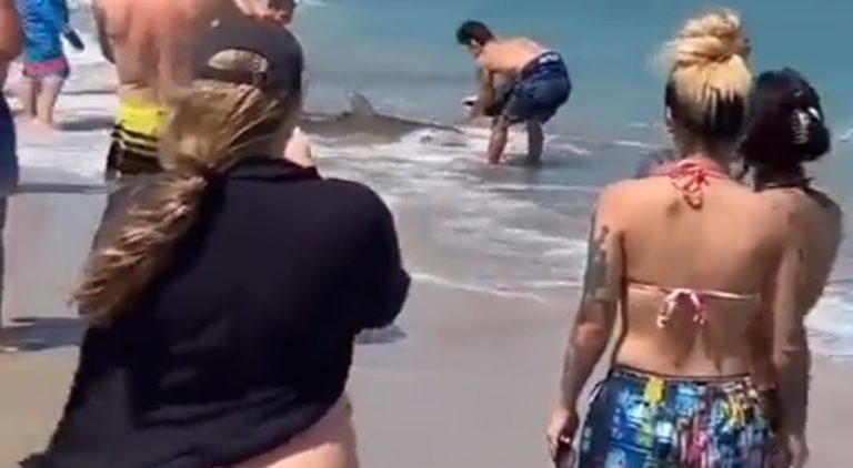 Man captures woman's back side while filming beached shark