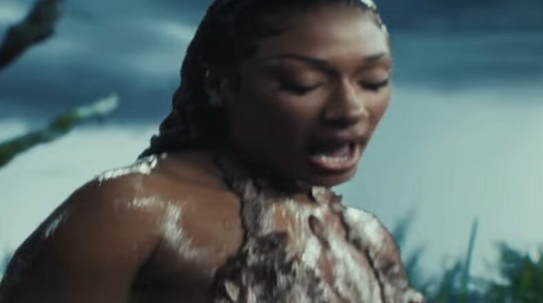 Megan Thee Stallion reveals Pardi cheated on her on Cobra