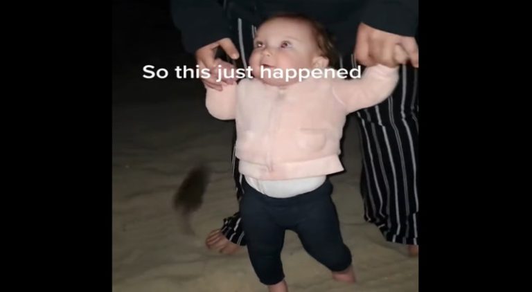 Woman drops her baby and runs when a rat flies by at beach