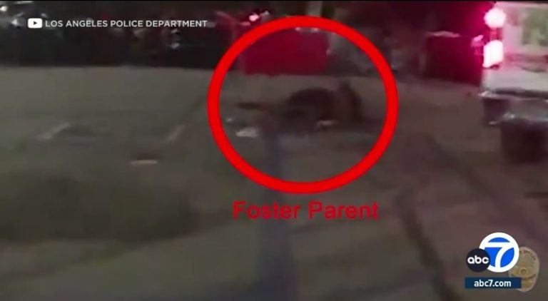 Woman runs over her son's foster mom due to child support dispute