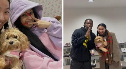 Cardi B spotted shopping with Offset by a fan
