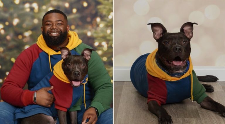 Man takes Christmas pic with his dog and looks just like the dog