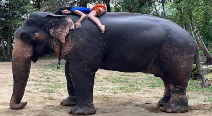 Rubi Rose posts photo of herself laying on top of an elephant