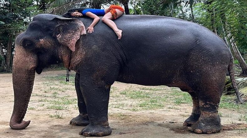 Rubi Rose posts photo of herself laying on top of an elephant