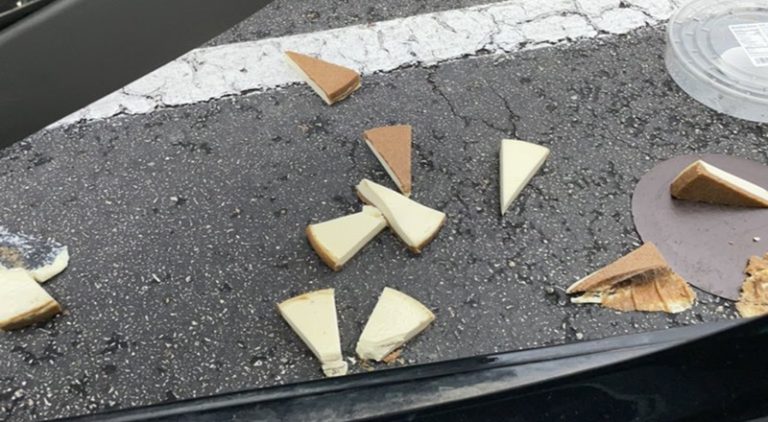 Woman dropping cheesecake in parking lot goes viral