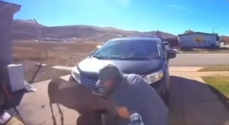 Woman screams as antlered deer charges at her and her dog