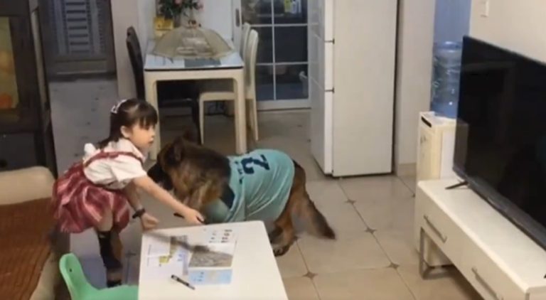 Pet dog helps girl pretend to do homework when her dad walks in