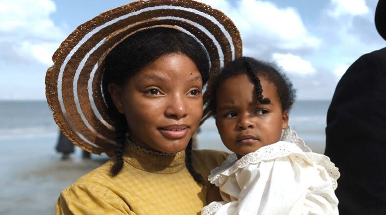 The Color Purple remake only made $5 million in box office sales