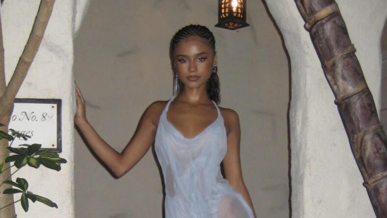 Tyla cancels tour after revealing that she's been dealing with injury