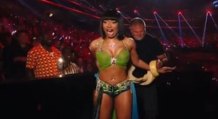 Megan Thee Stallion halts VMAs after cobra makes her scream