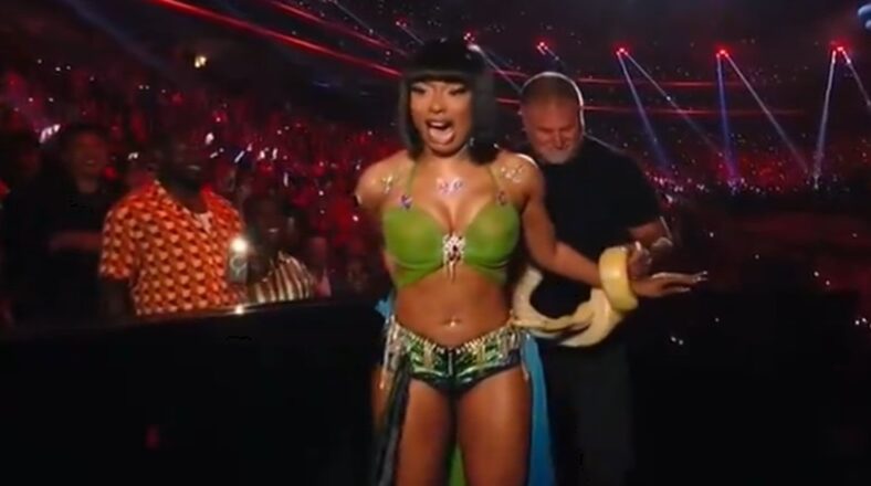 Megan Thee Stallion halts VMAs after cobra makes her scream