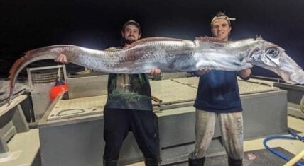 Two fishermen holding a giant oarfish caught near Melville Island, Australia.
