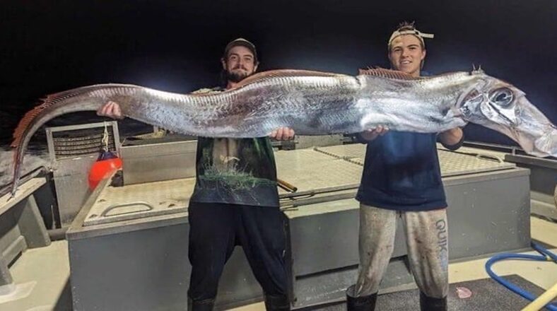 Two fishermen holding a giant oarfish caught near Melville Island, Australia.