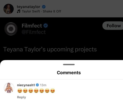 Niecy Nash shows love to Teyana Taylor in the comments of her IG post shading Kayla Nicole.